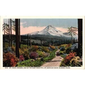 Vintage Mt Hood Oregon Postcard Snow Covered Peak Scenic Drive Unused
